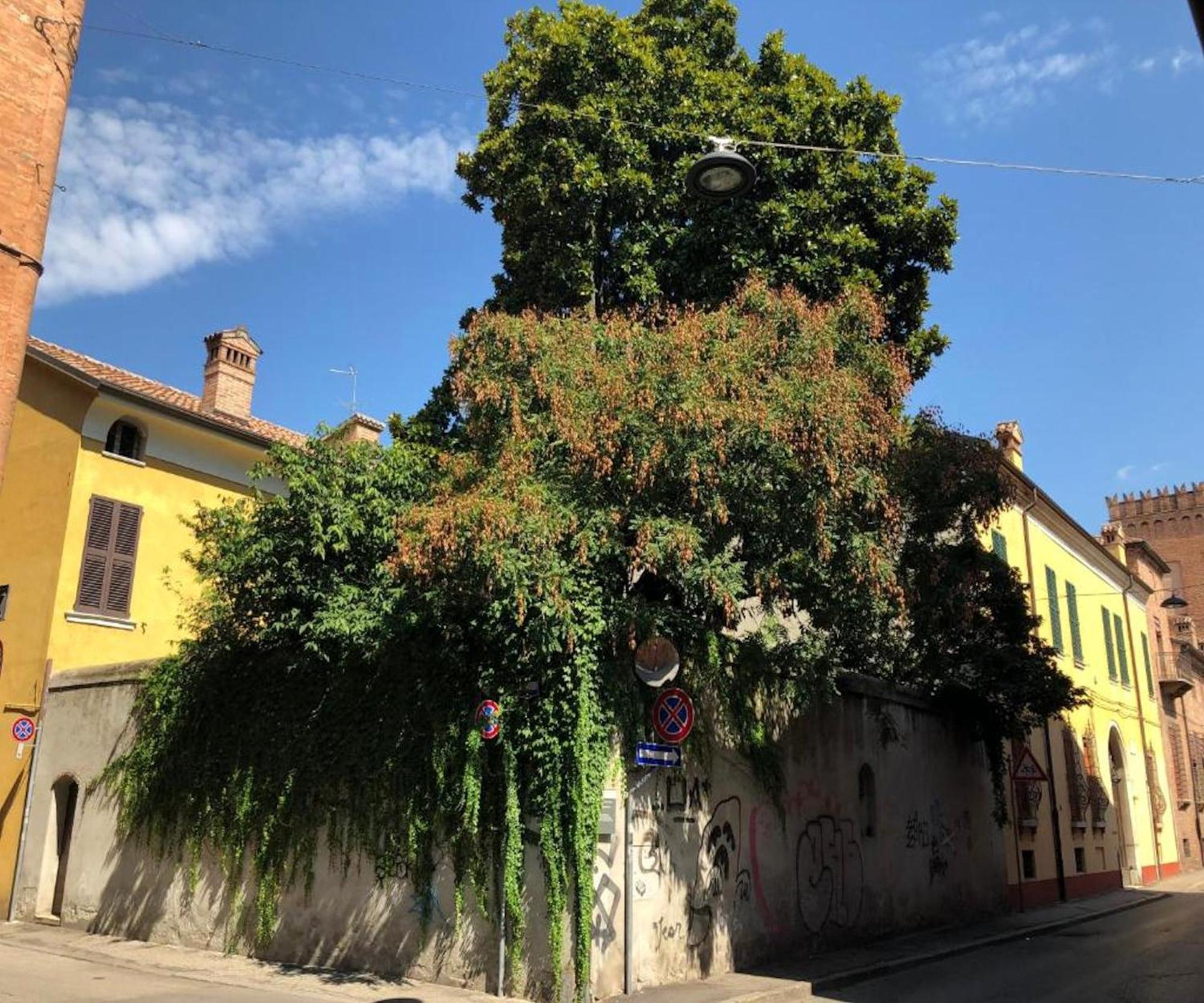 Ferienwohnung Il Giardino Segreto Ferrara Exterior foto